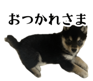 858757194