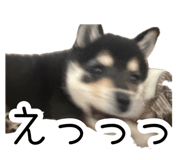858757197