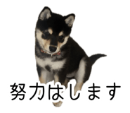 858757198