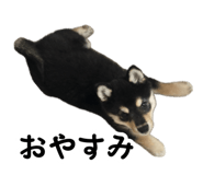858757199
