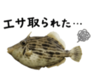 858757272