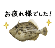 858757280