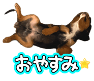 858757793