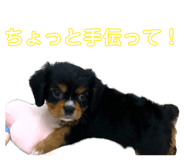 858757811