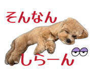 858757834
