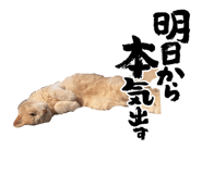 858757914
