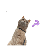 858757915