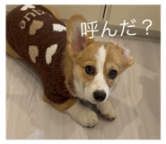 858758443
