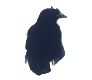 858758491