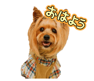 858758873