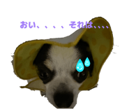 858759030