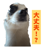 858759032