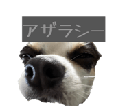858759034