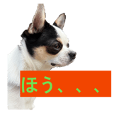 858759035