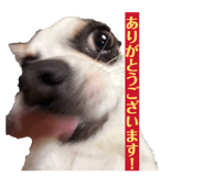858759036