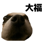 858759037