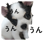 858759038