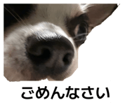 858759039