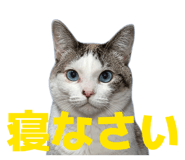 858759370
