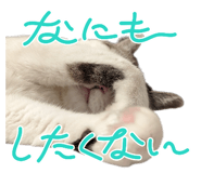 858759373