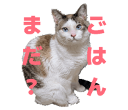 858759376