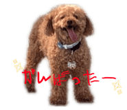 858759577
