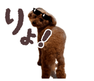 858759582