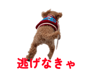 858759592