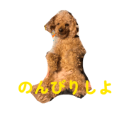 858759594
