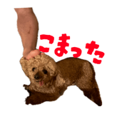 858759596