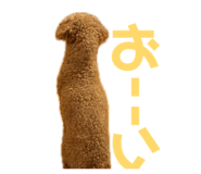 858759597