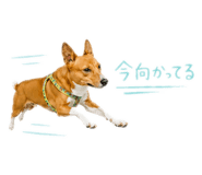 858759801