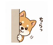 858759968