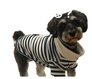 858761017