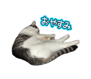 858761187