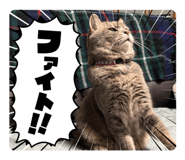 858761371