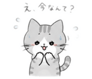 858762171