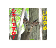 858762360