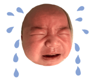 858762382