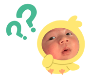 858762384