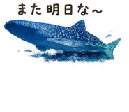 858763060
