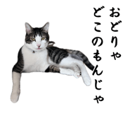 858764210