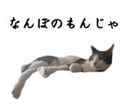 858764212