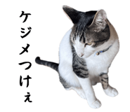 858764214