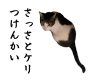 858764216