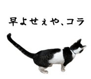 858764221