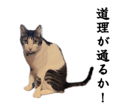 858764222