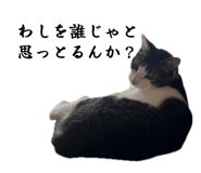 858764224