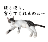 858764227