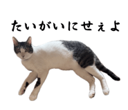 858764232